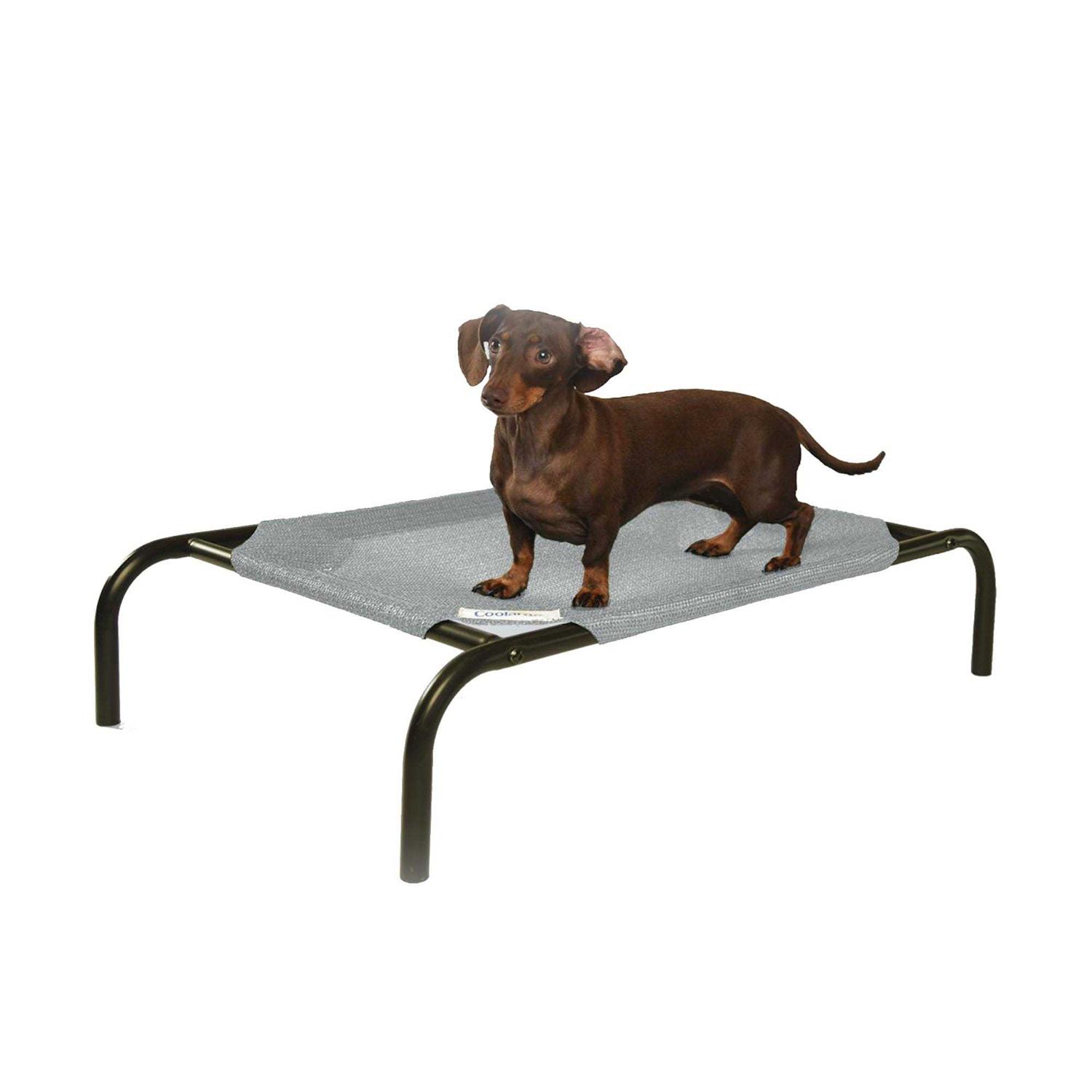 Coolaroo The Original Elevated Pet Bed - Nail Gallerys