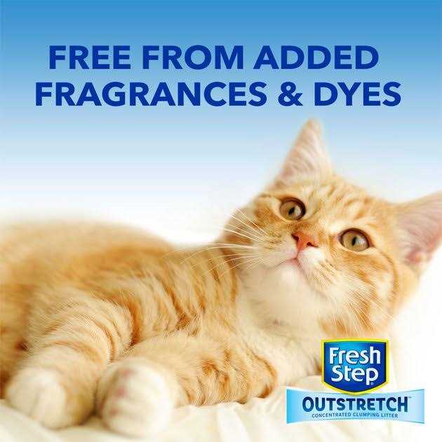 Fresh Step Outstretch Concentrated Clumping Cat Litter Unscented - Nail Gallerys