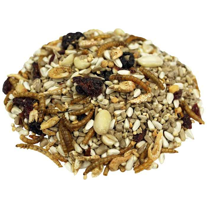 Brown’s Bird Lover&s Blend Nuts - Nail Gallerys