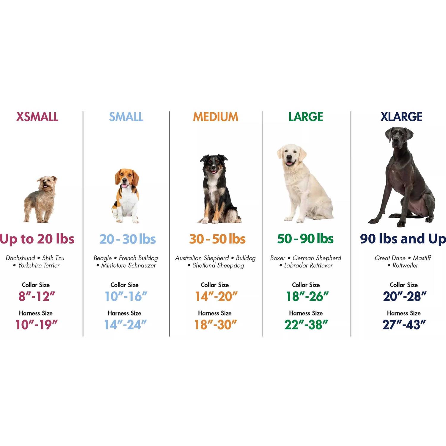 Coastal Pet Macho Dog Double-Ply Nylon Collar with Roller Buckle 1.75 Wide Black - Nail Gallerys