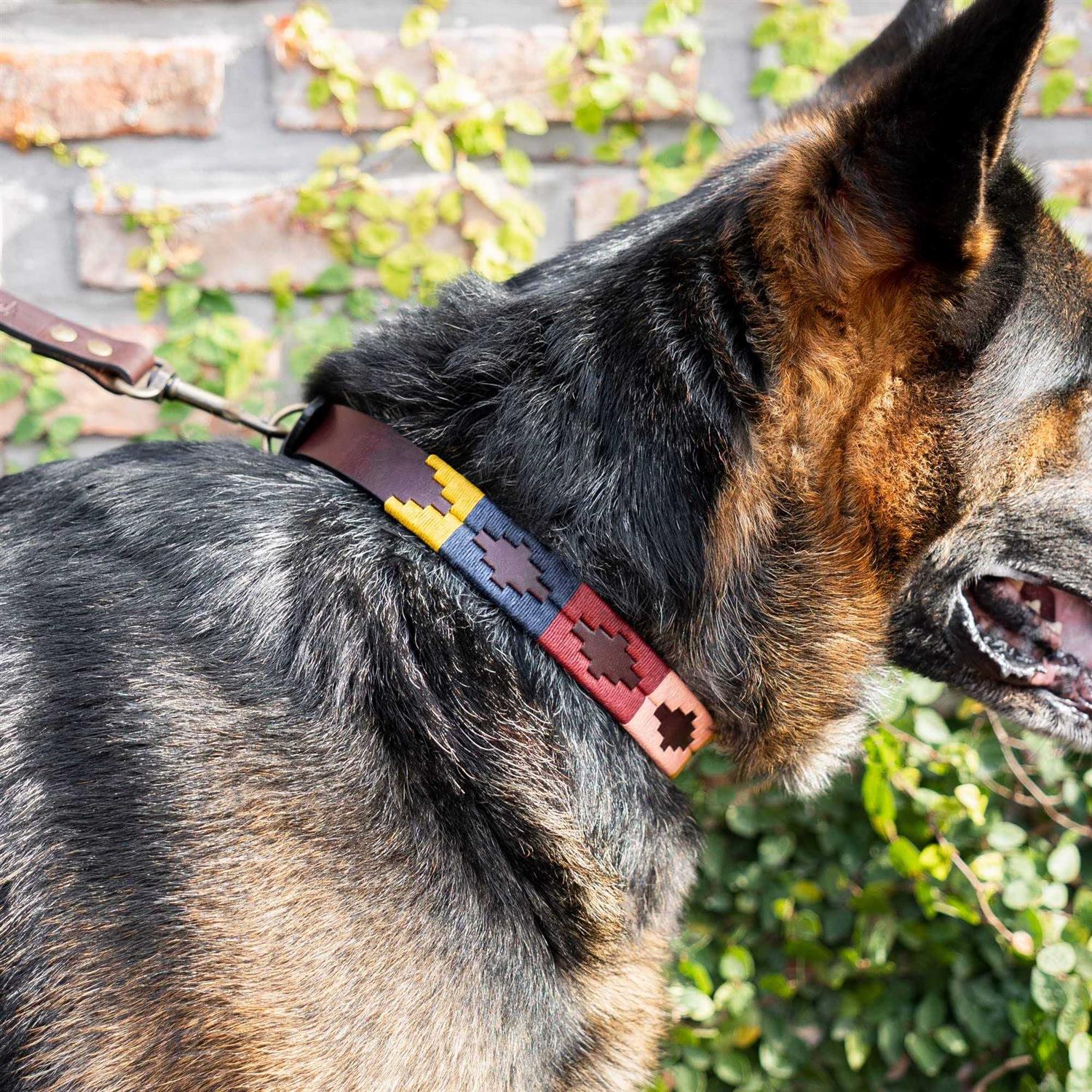 GauchoLife Polo Dog Collar Leather Hand-Stitched - Nail Gallerys