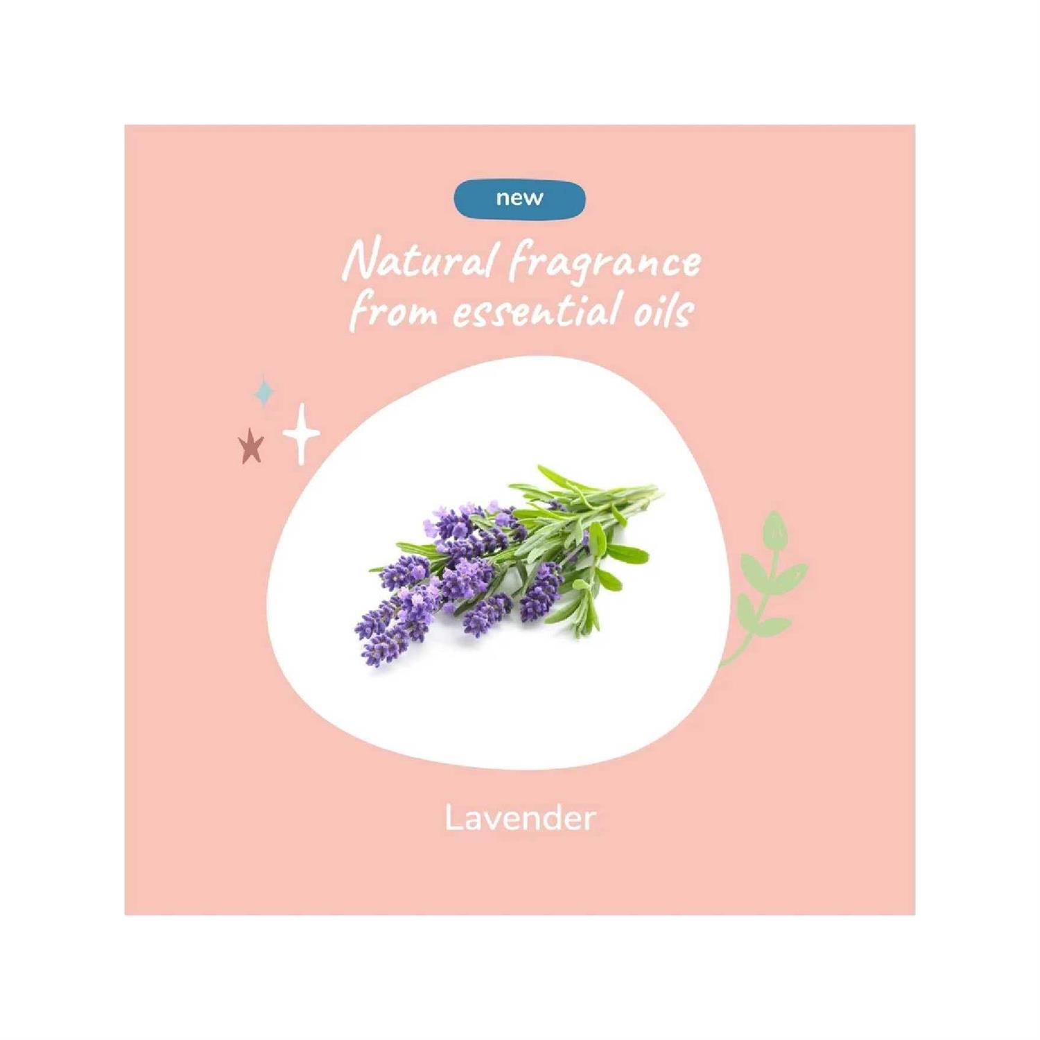 kin+kind Lavender Calm Dog Odor Neutralizer Spray - Nail Gallerys