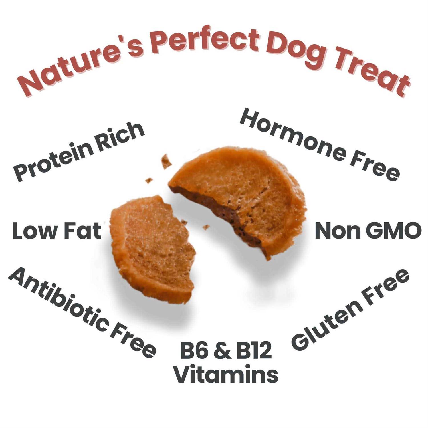 Farm to Pet Chicken Chips Dog Treats - Nail Gallerys