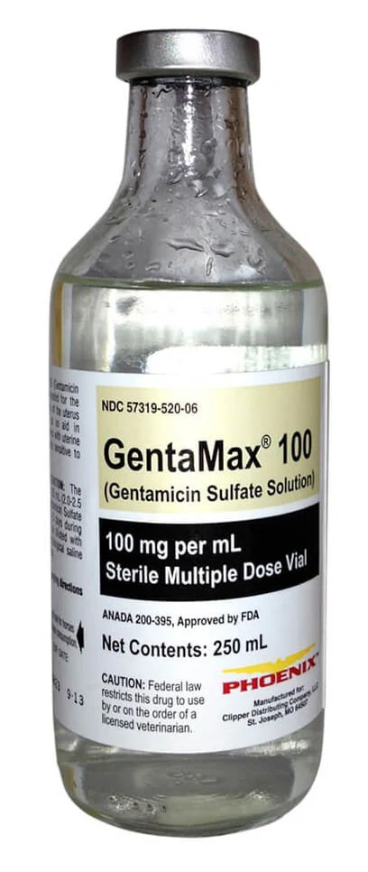 Rx GentaMax (gentamicin sulfate solution) 100 mg/mL Injection for Horses - Nail Gallerys