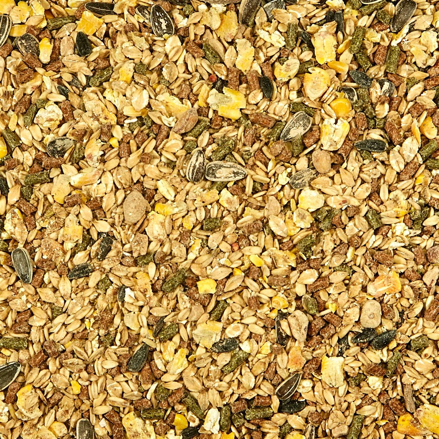 Kaytee Supreme Mouse Rat Food - Nail Gallerys