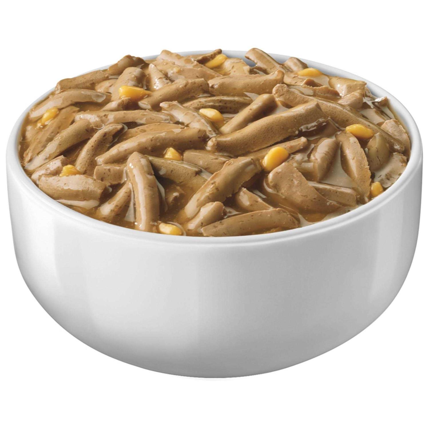 Purina Friskies Savory Shreds Wet Cat Food - Nail Gallerys