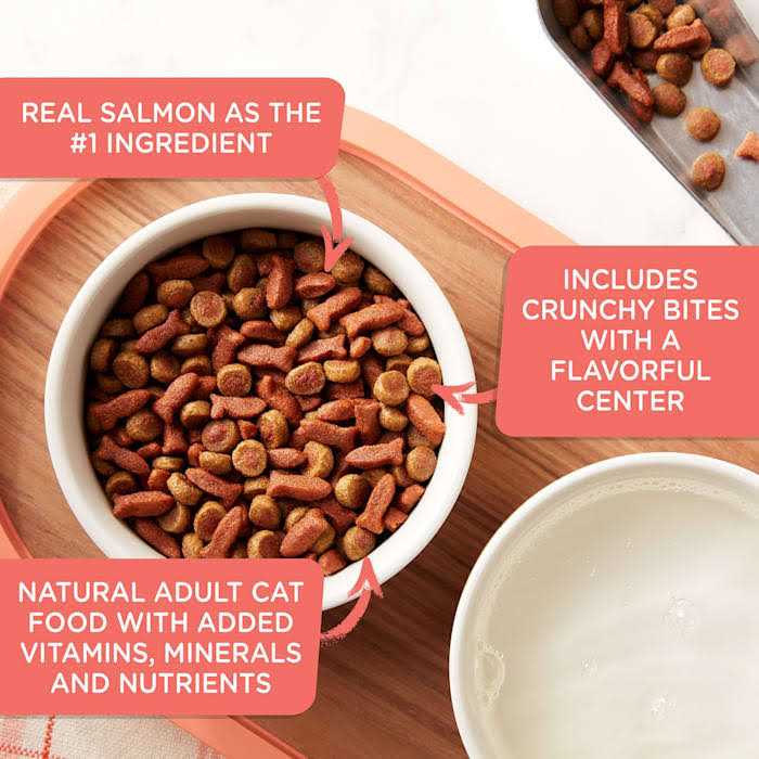 Rachael Ray Nutrish Savory Bites Dry Cat Food - Nail Gallerys