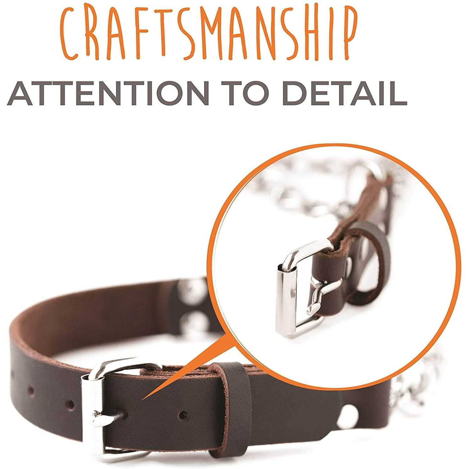 Mighty Paw Leather Collar Martingale Collar - Nail Gallerys