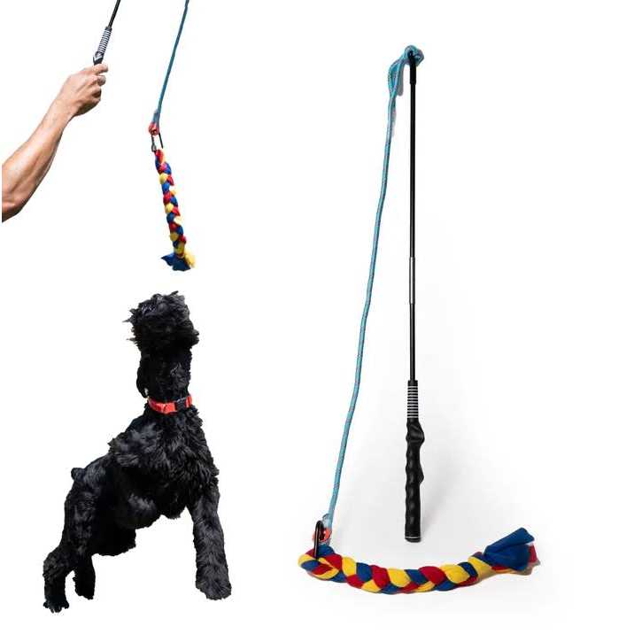 Dewonch Interactive Flirt Pole Toy for Dogs Chase and Tug of War,Durable Teaser Wand with Pet Fleece Rope Tether Lure Toy to Outdoor Exercise & Training - Nail Gallerys