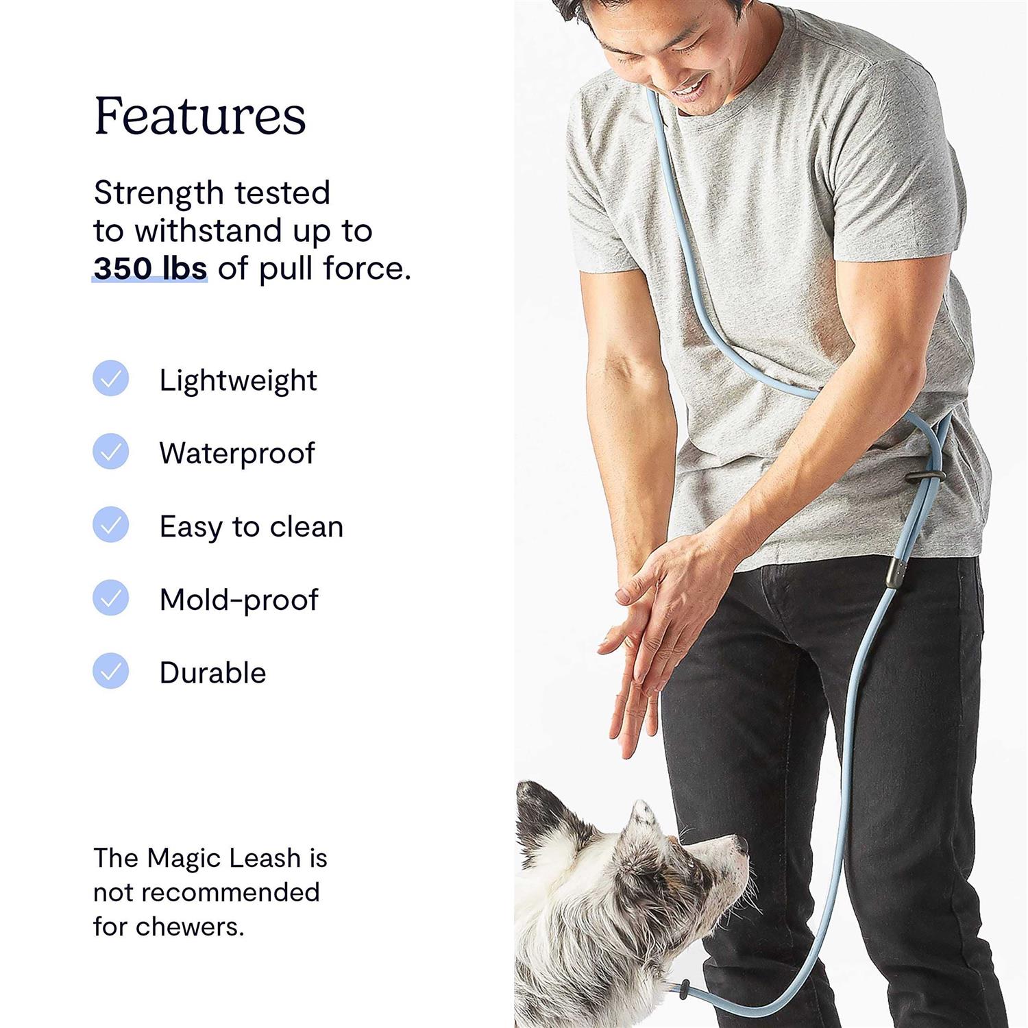 Fable Pets Magic Link Hands-Free Dog Leash - Nail Gallerys