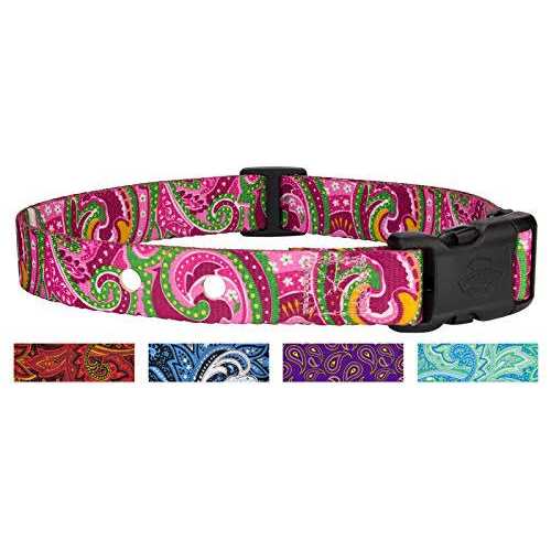 Country Brook Design Country Brook Petz Replacement Collar For Dog Fence Receivers - Nail Gallerys