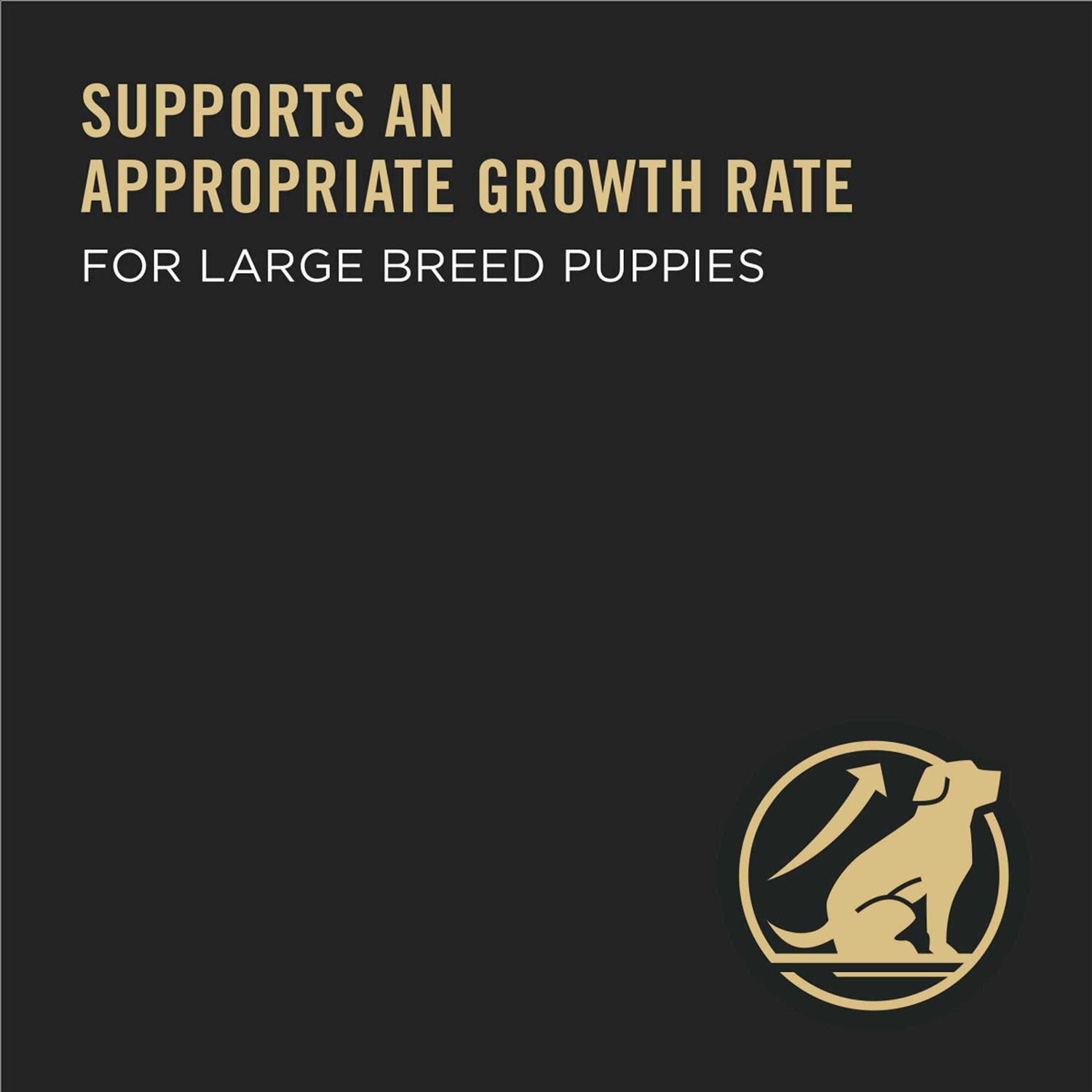 Purina Pro Plan Chicken & Rice Formula Large Breed Dry Puppy Food - Nail Gallerys