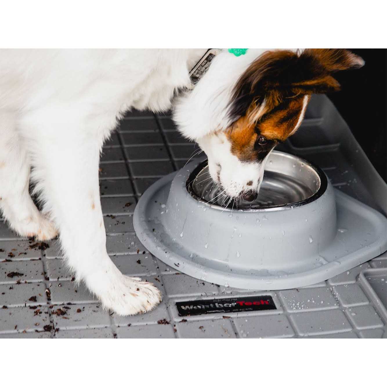 WeatherTech Double High Pet Feeding System - Nail Gallerys