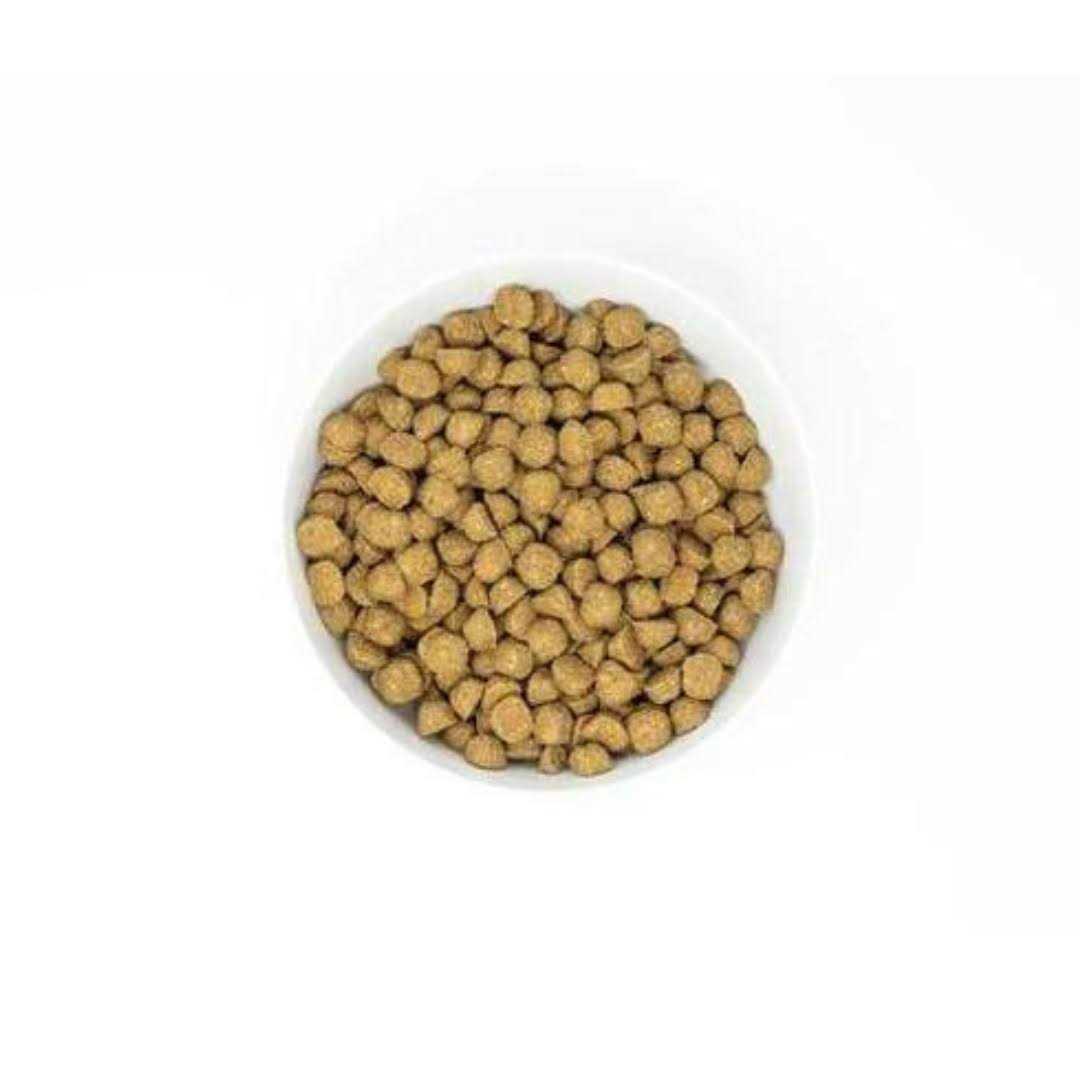 Stella & Chewy’s Raw Coated Kibble Recipe with Wholesome Grains Dog - Nail Gallerys