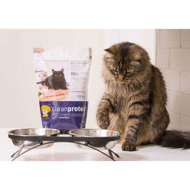 Dr. Elsey&s cleanprotein Chicken Formula Dry Cat Food - Nail Gallerys