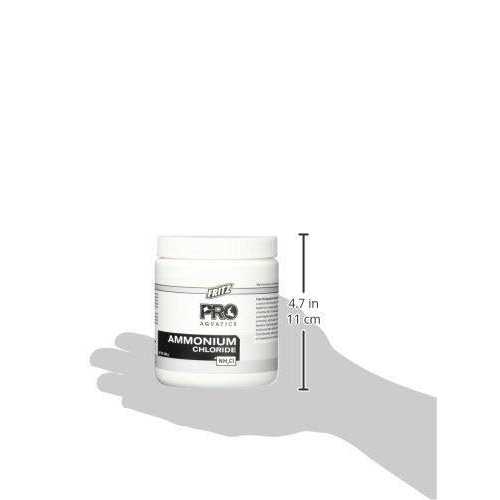 Fritz Pro Ammonium Chloride - Nail Gallerys