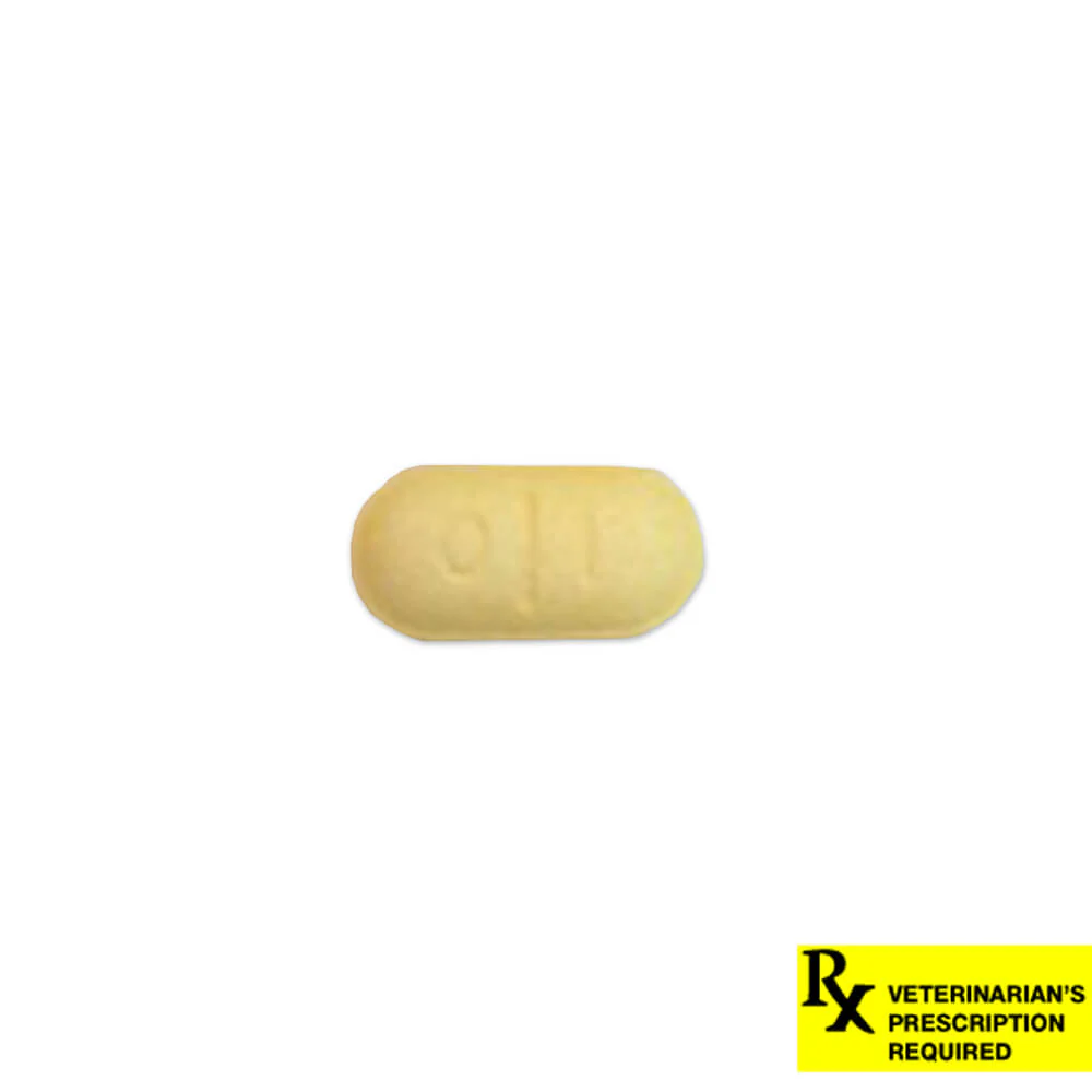 Rx Thyro-Tabs (levothyroxine sodium tablets) Tablets for Dogs - Nail Gallerys