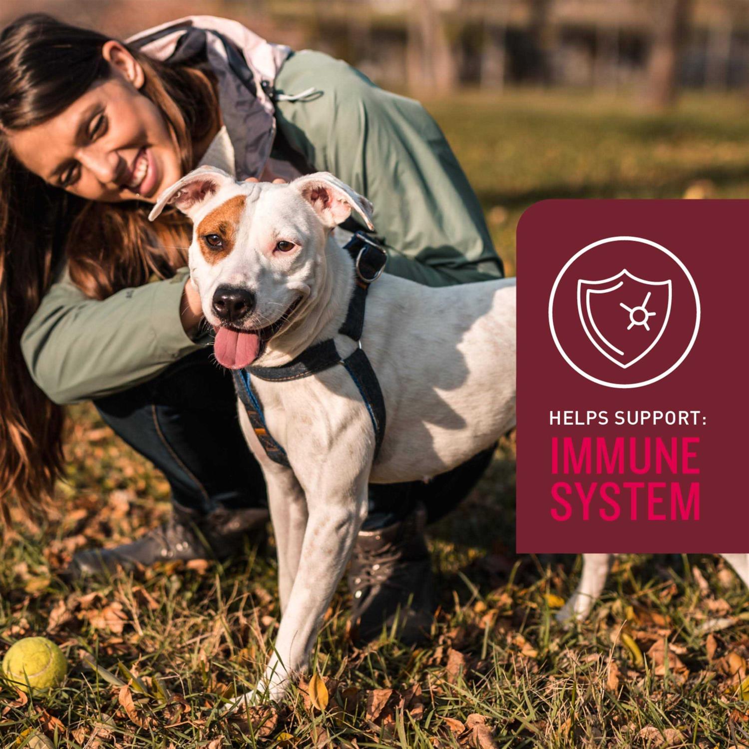 Sergeants VetIQ 5-in-One Multi-Benefit Soft Chews for Dogs - Nail Gallerys