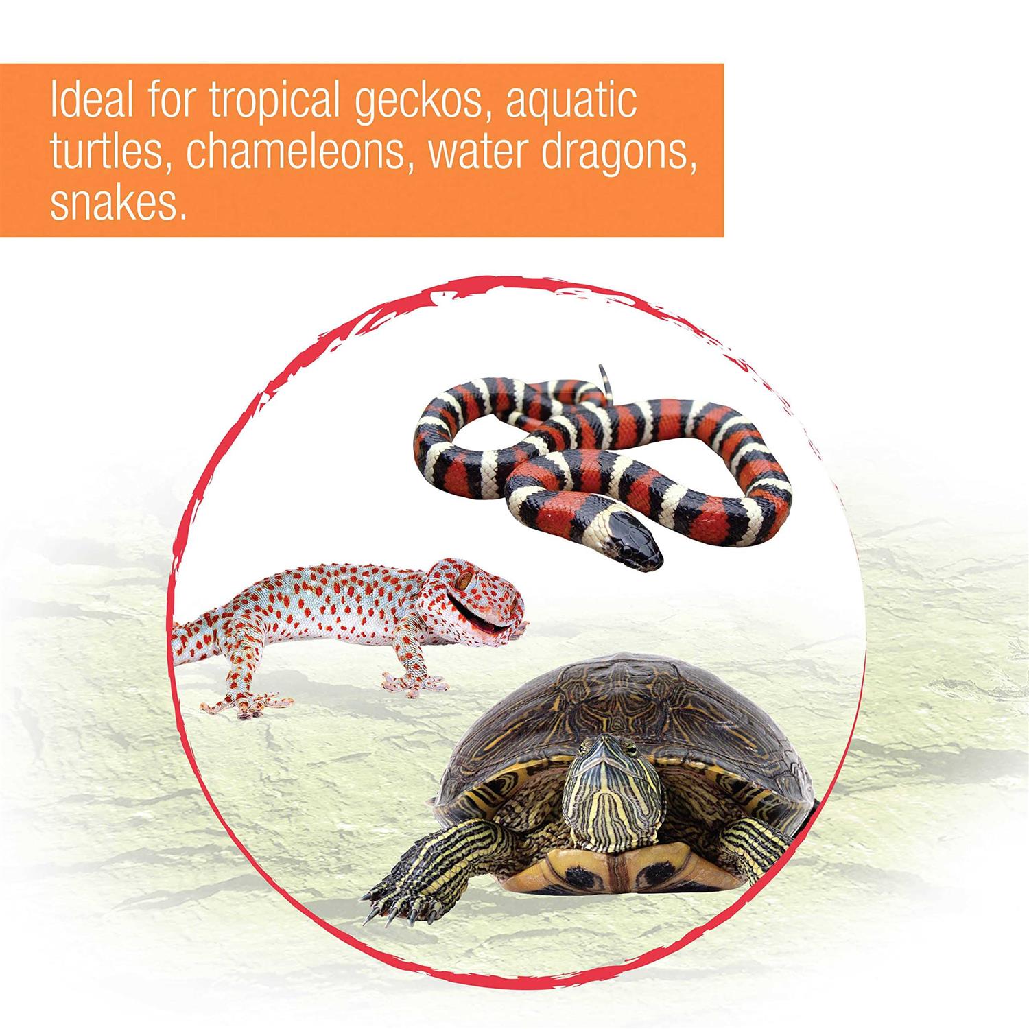 Zilla Slimline Tropical Reptile Fixture - Nail Gallerys