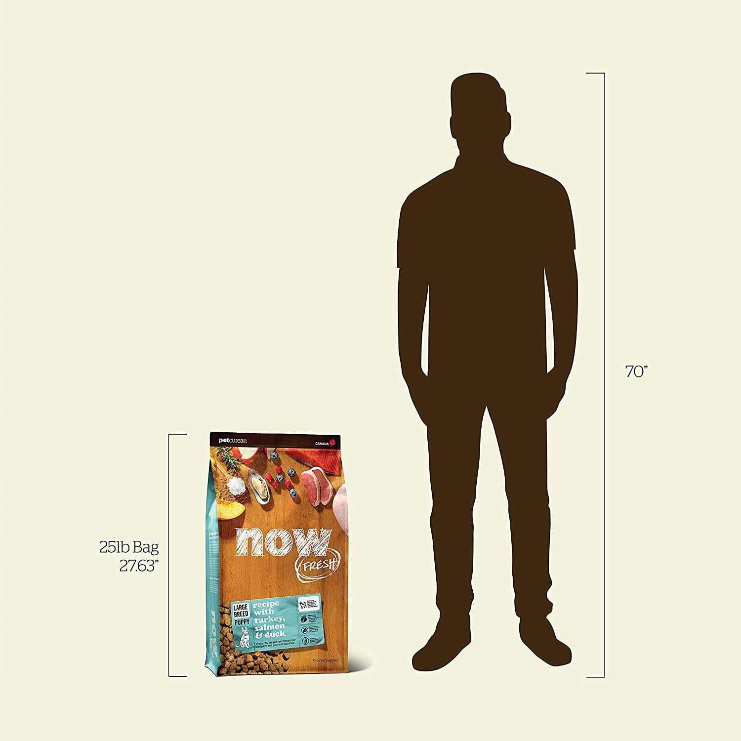 Now Fresh Grain-Free Puppy Recipe Dry Dog Food - Nail Gallerys