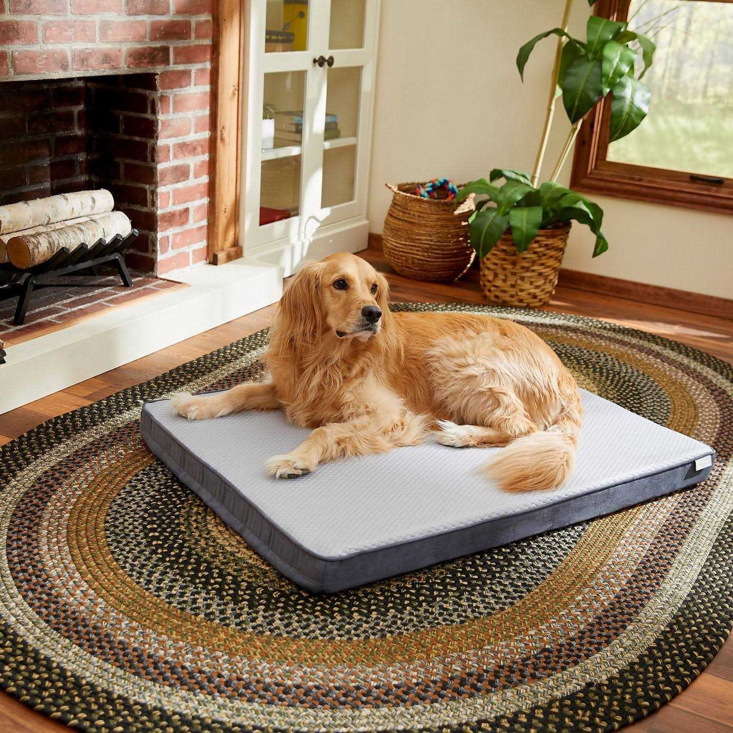 Frisco Cooling Orthopedic Pillow Dog Bed w/Removable COVER Large - Nail Gallerys
