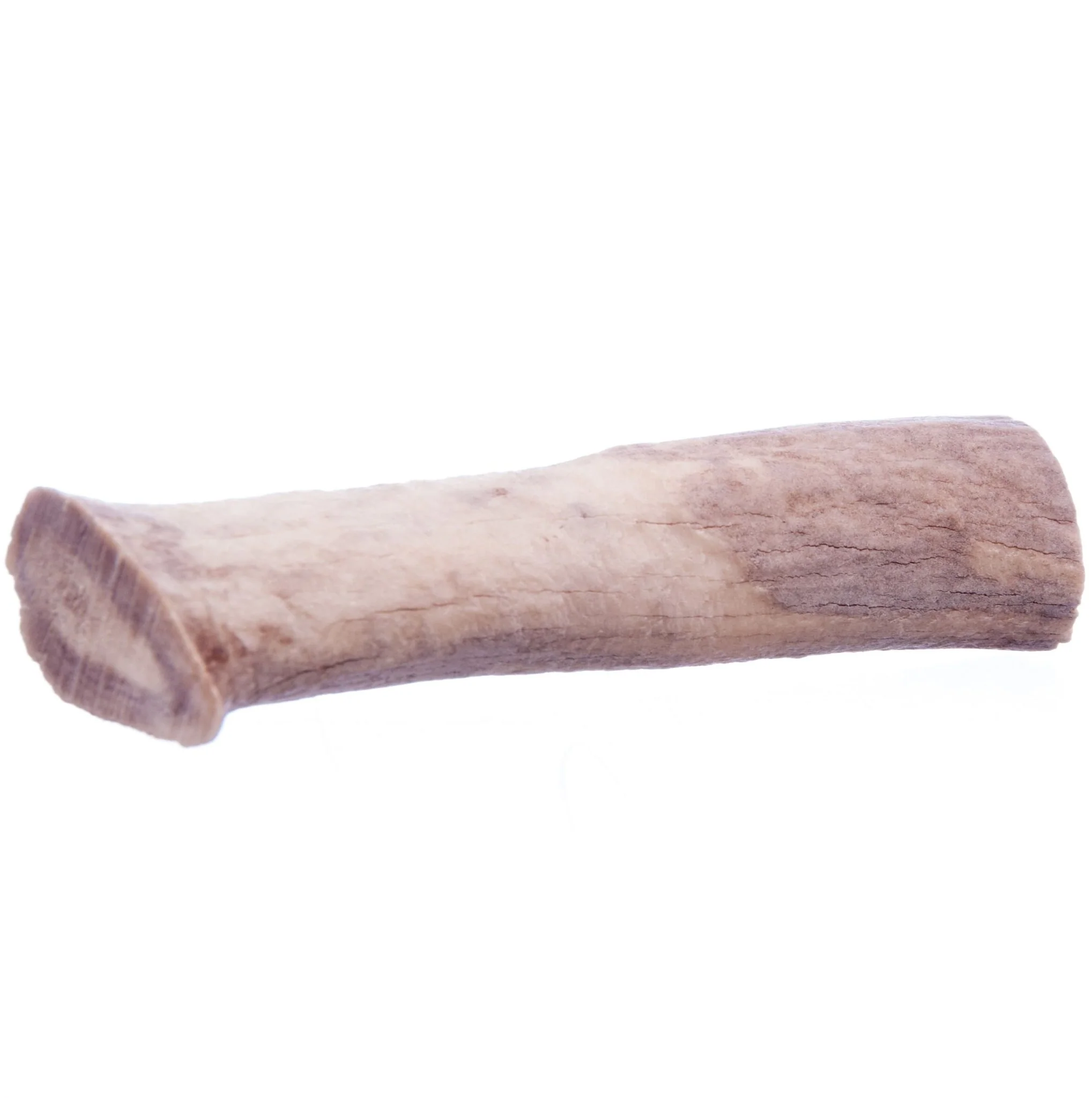 Antlerz - Nail Gallerys