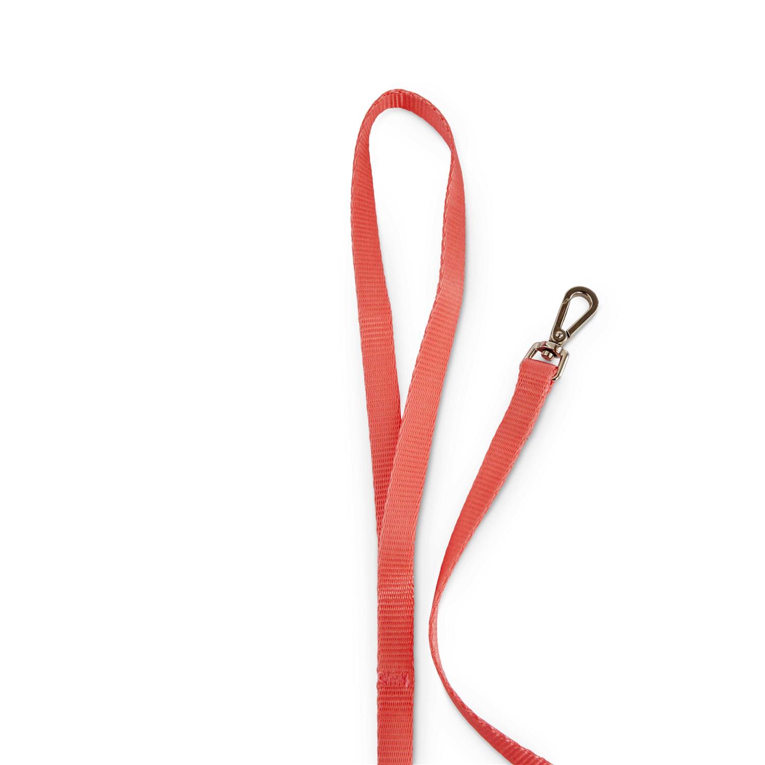 Youly Cat Harness Set - Nail Gallerys