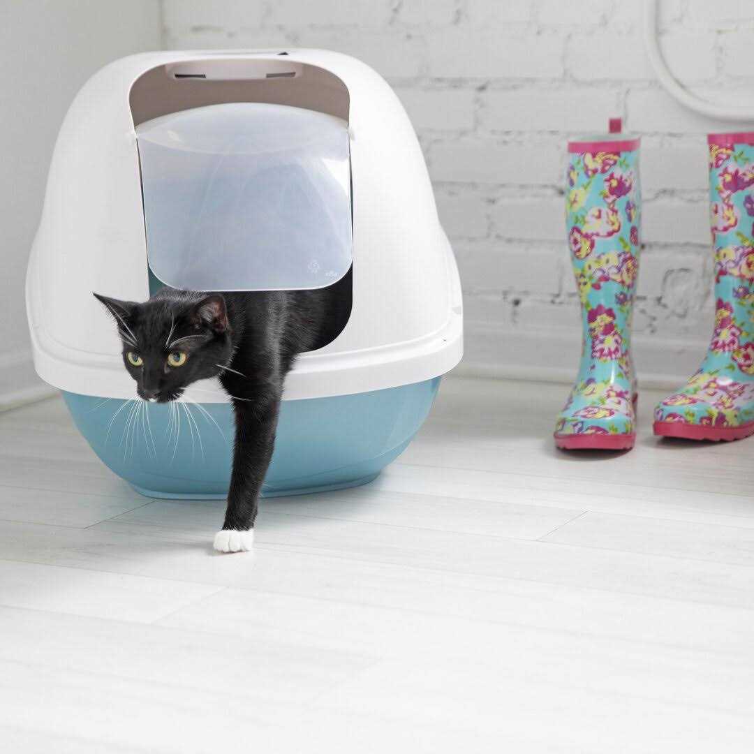 Petmate Basic Hooded Litter Pan - Nail Gallerys