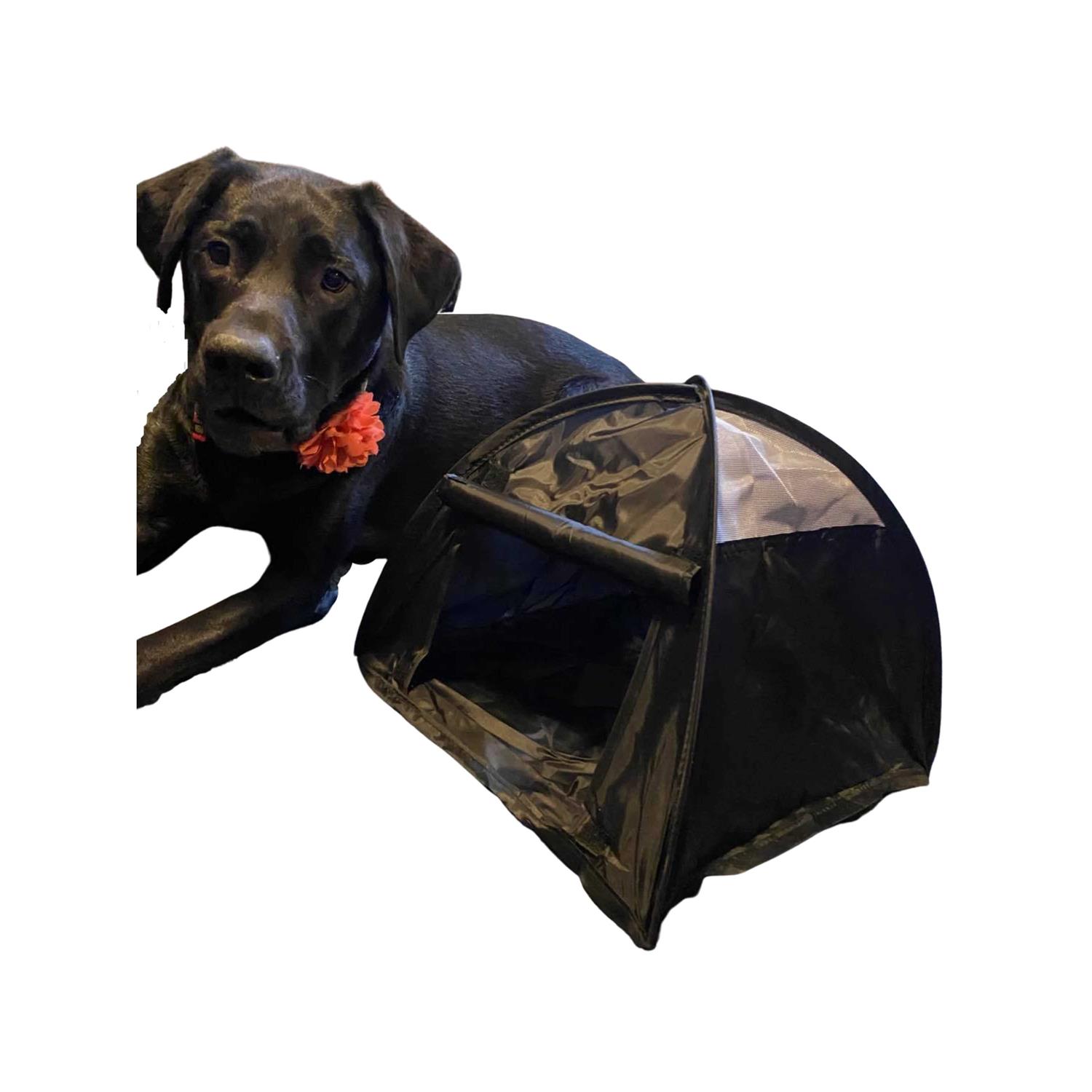Pop Up Dog Tent - Nail Gallerys