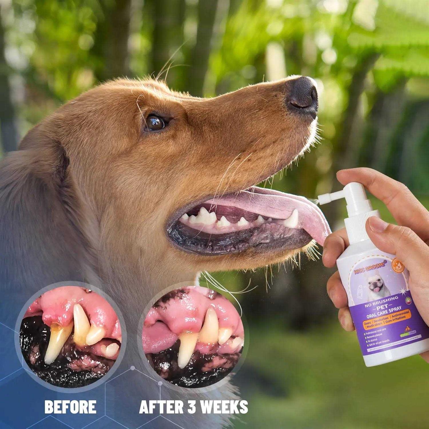 HICC PET Dog Cat Oral Care Spray 5.1 Oz - Nail Gallerys
