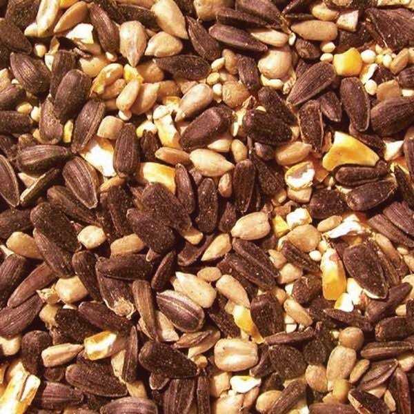 Cole’s BH05 Blazing Hot Blend Bird Seed - Nail Gallerys