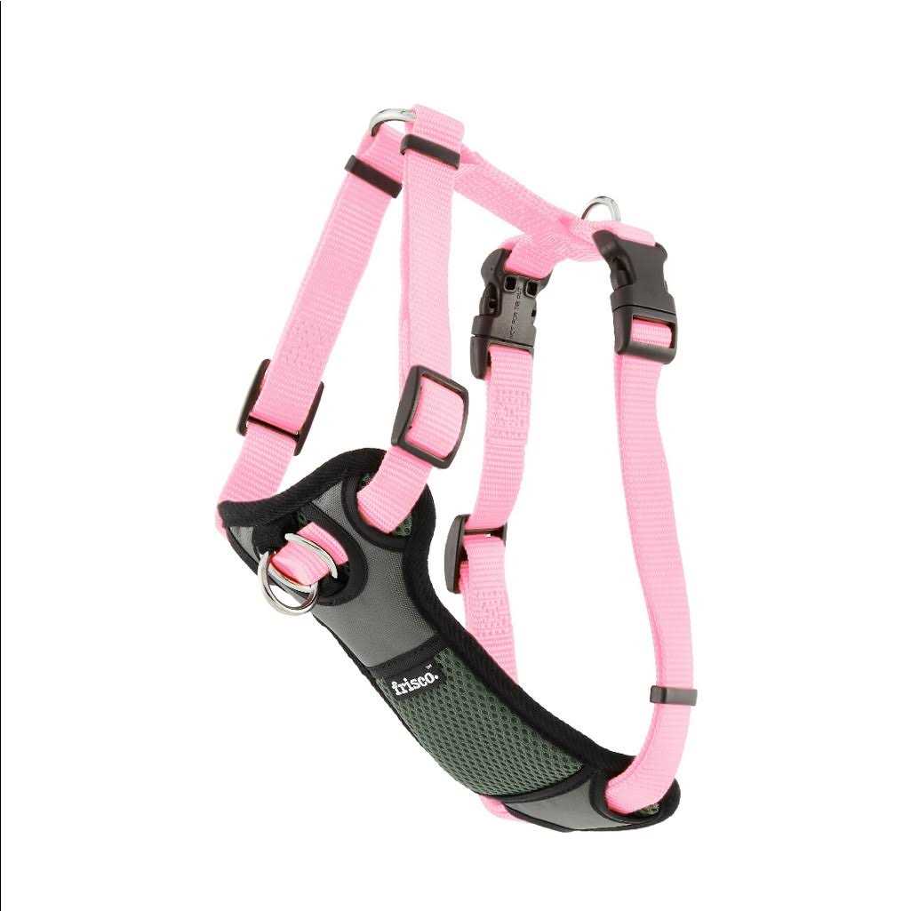 Frisco Padded Nylon No Pull Dog Harness - Nail Gallerys