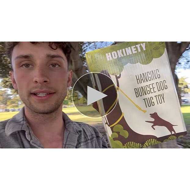 HOKINETY Dog Hanging Bungee Tug Toy Interactive Tether Tug-of-War for Pitbull Small to Large Dogs to Exercise and Fun Solo Play - Nail Gallerys