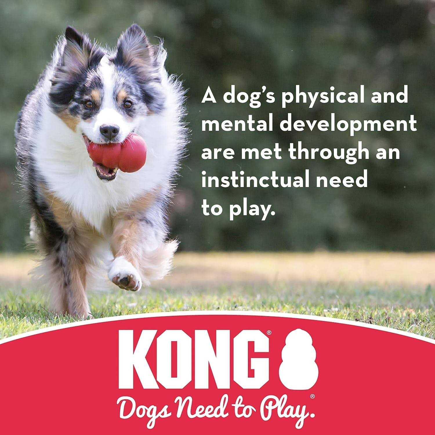 Dog Toy KONG Ball - Nail Gallerys