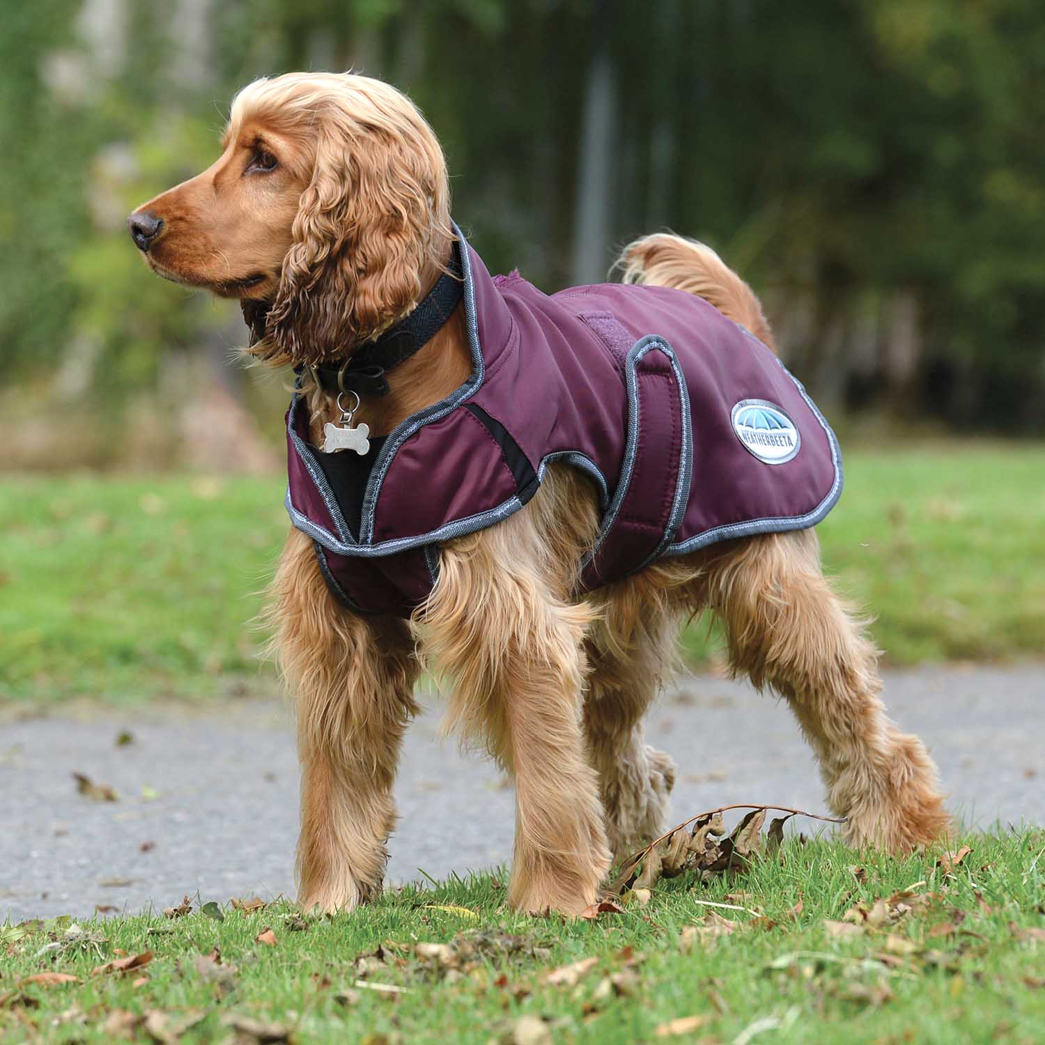 WeatherBeeta ComFITec Windbreaker Free Deluxe Dog Coat, Maroon/Gray/White - Nail Gallerys