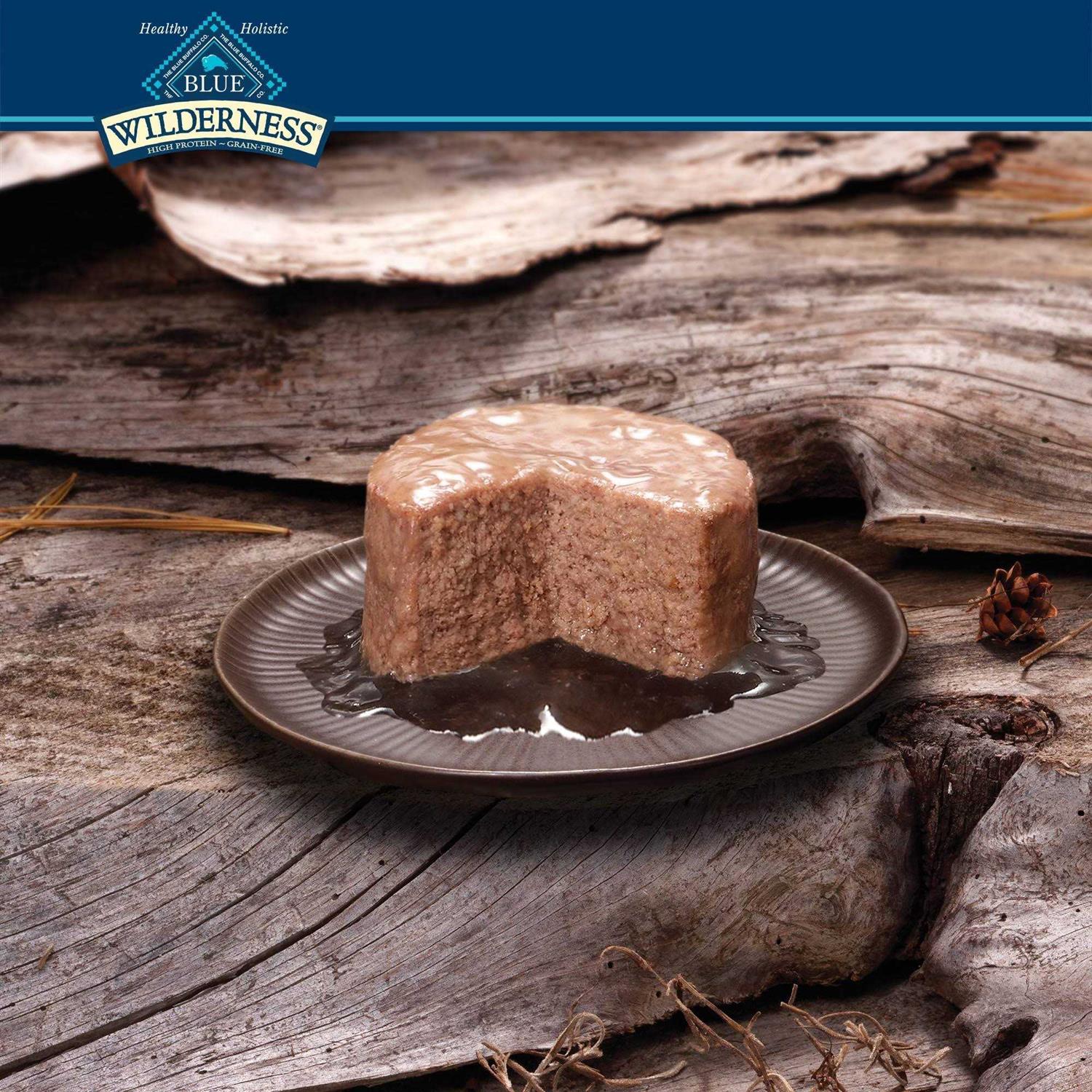 Blue Buffalo Wilderness Kitten Food - Nail Gallerys