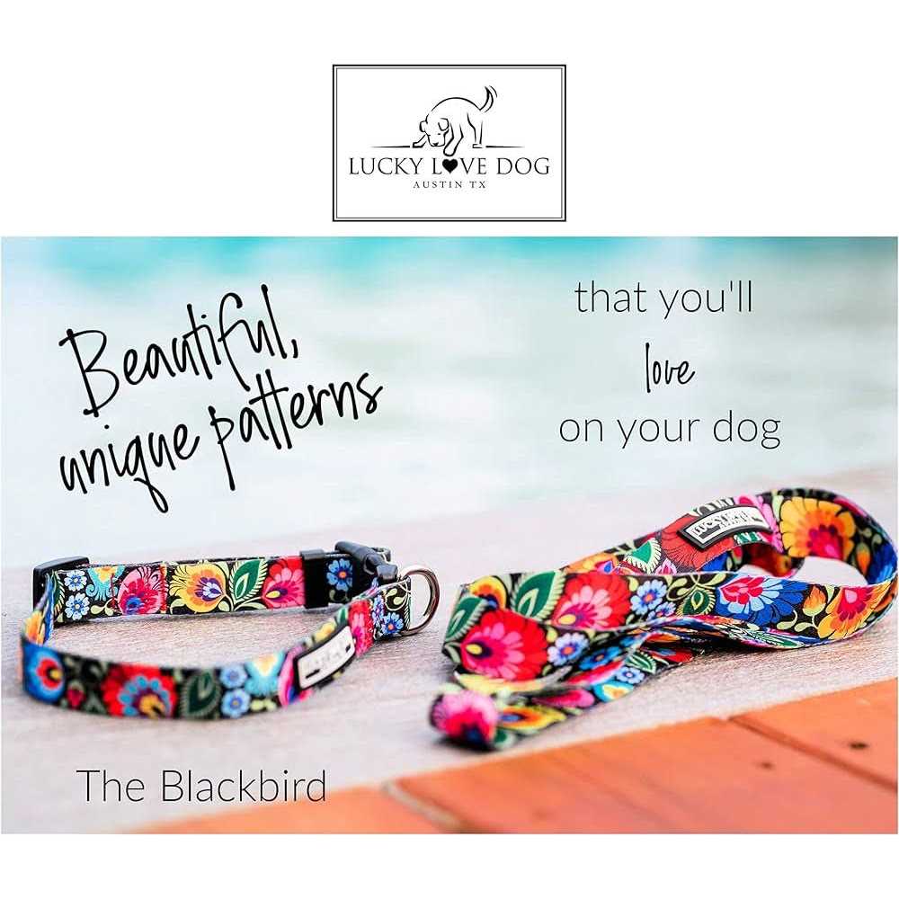 Lucky Love Dog Martingale Collar Premium No Slip Collar Great for Whippets, Greyhounds, and More - Nail Gallerys