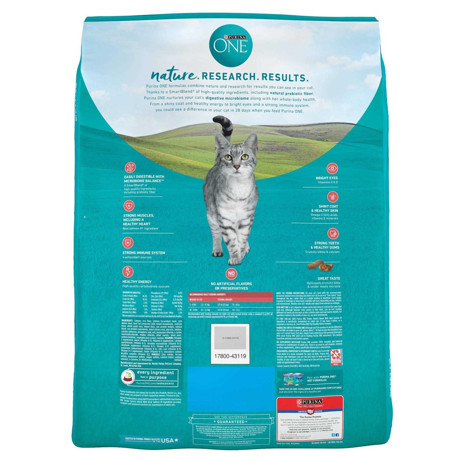 Purina ONE Smartblend Dry Cat Food - Nail Gallerys