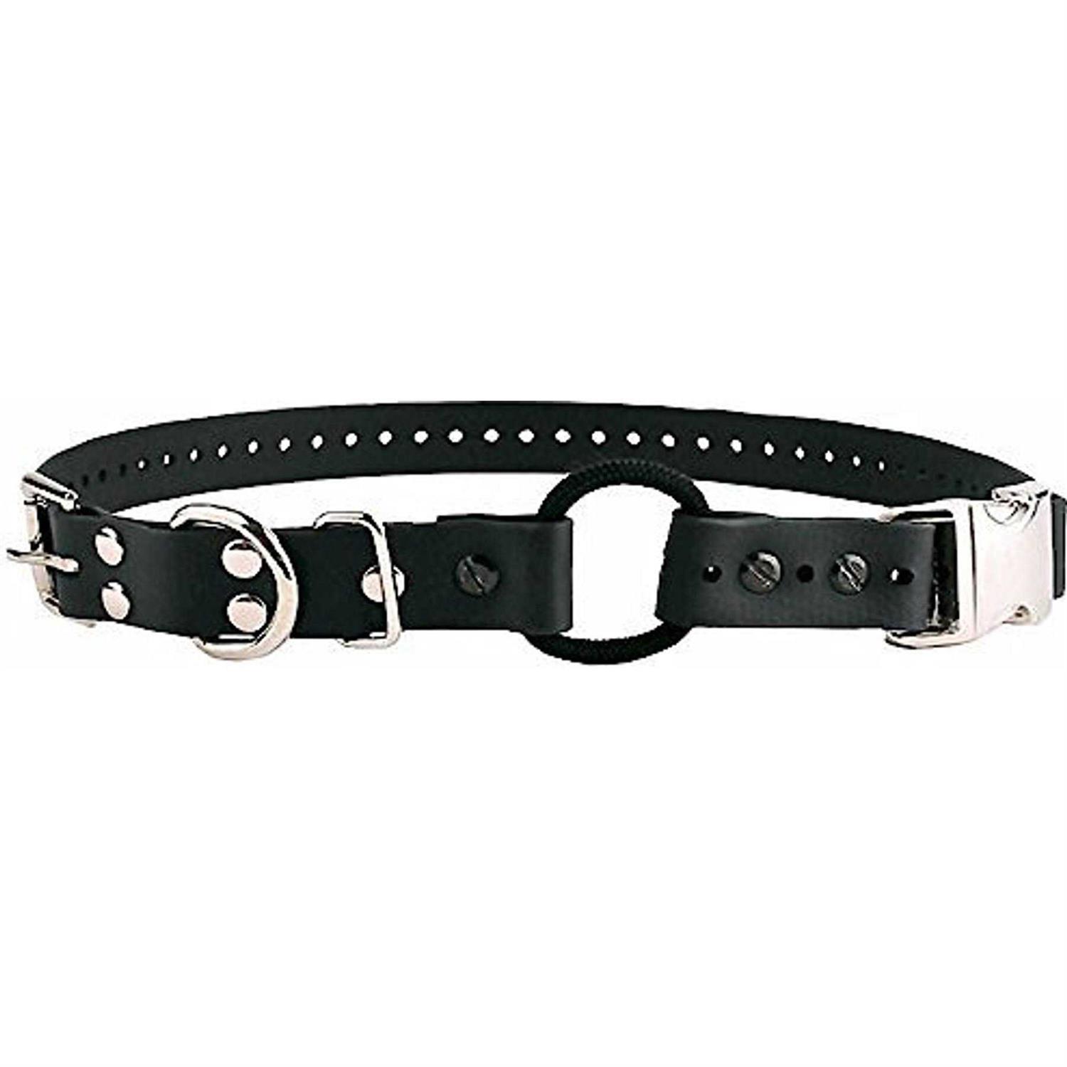 Educator Quick Snap Bungee Collar - Nail Gallerys