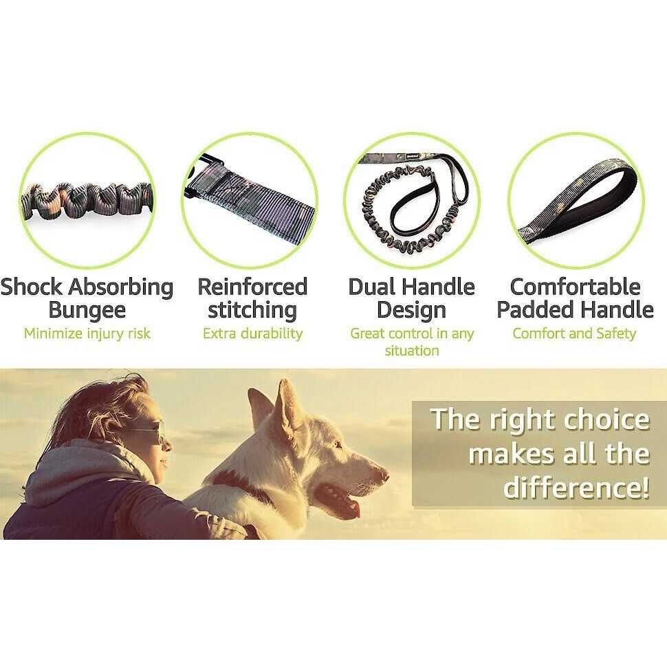 PetSpy Two Handle Dog Leash with Shock Absorbing - Nail Gallerys