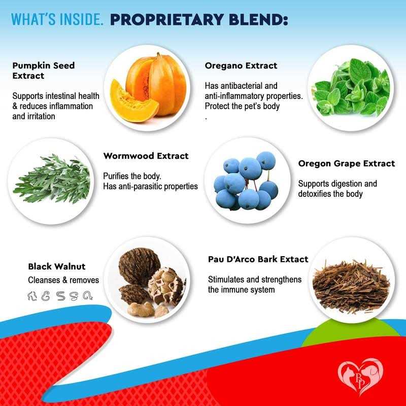 Beloved Pets Cats & Dogs Liquid Herbal Medicine & Natural Broad Spectrum Treatment for Tapeworm, Whipworm, Roundworm, and Hookworm - Nail Gallerys