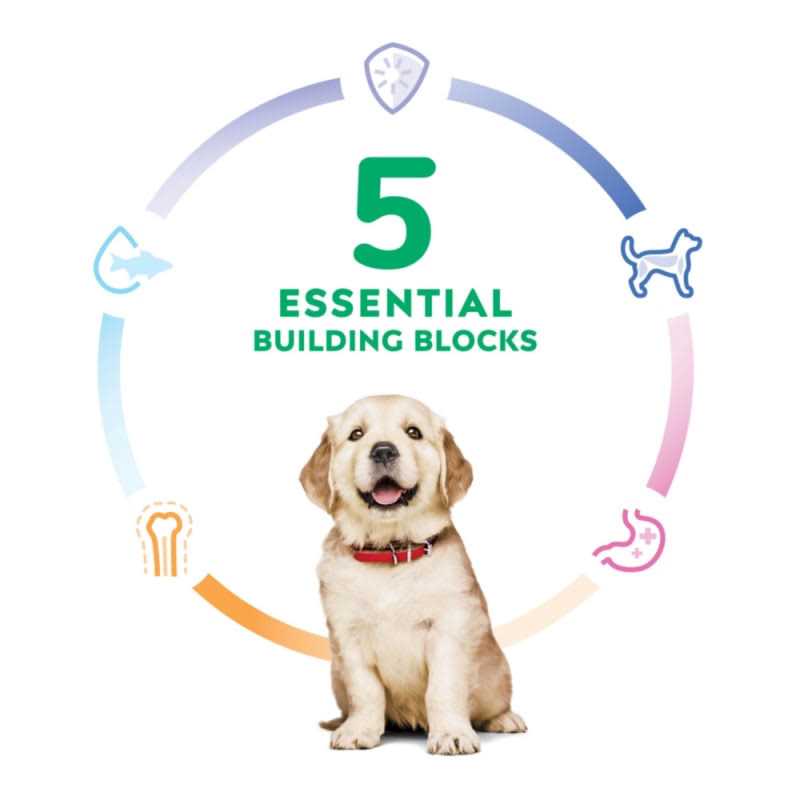 Hill’s Science Diet Large Breed Puppy Chicken Recipe Dry Dog Food - Nail Gallerys