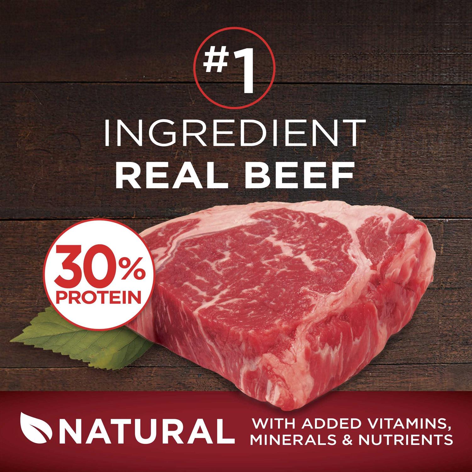 Purina ONE Grain Free Natural Dry Dog Food - Nail Gallerys