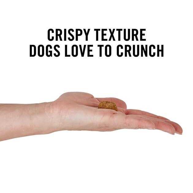 American Journey Peanut Butter Recipe Grain-Free Oven Baked Crunchy Biscuit Dog Treats - Nail Gallerys