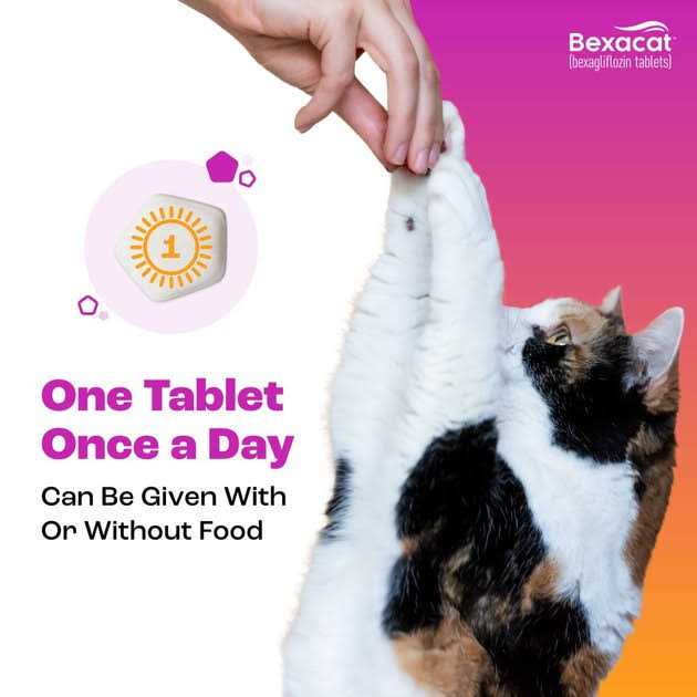 Bexacat for Cats 15 mg - Nail Gallerys