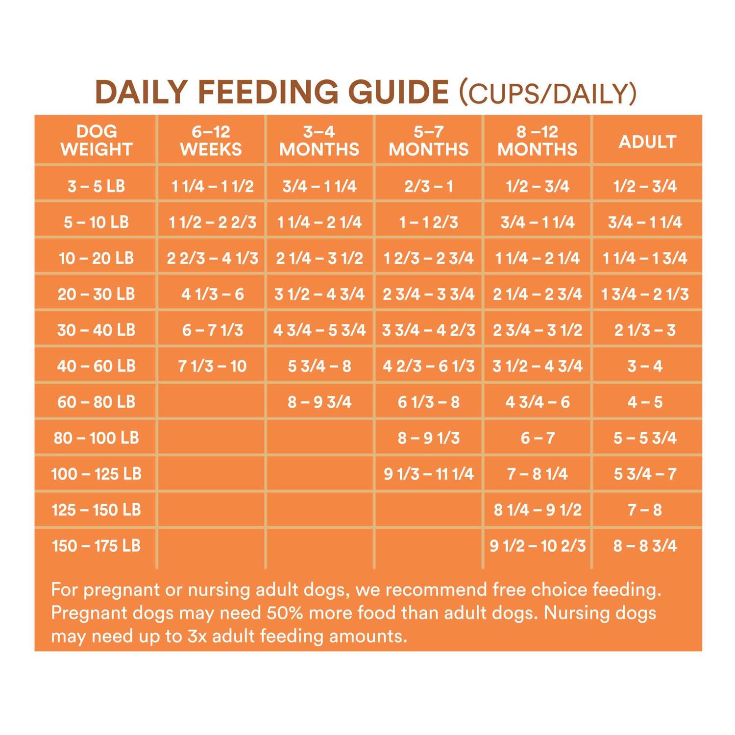 WholeHearted All Life Stages Chicken and Rice Recipe Dry Dog Food - Nail Gallerys