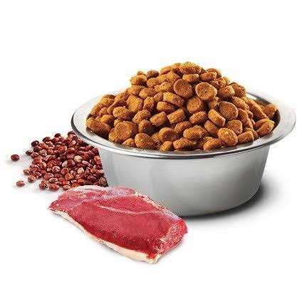 Farmina N&D Quinoa Digestion Lamb - Nail Gallerys