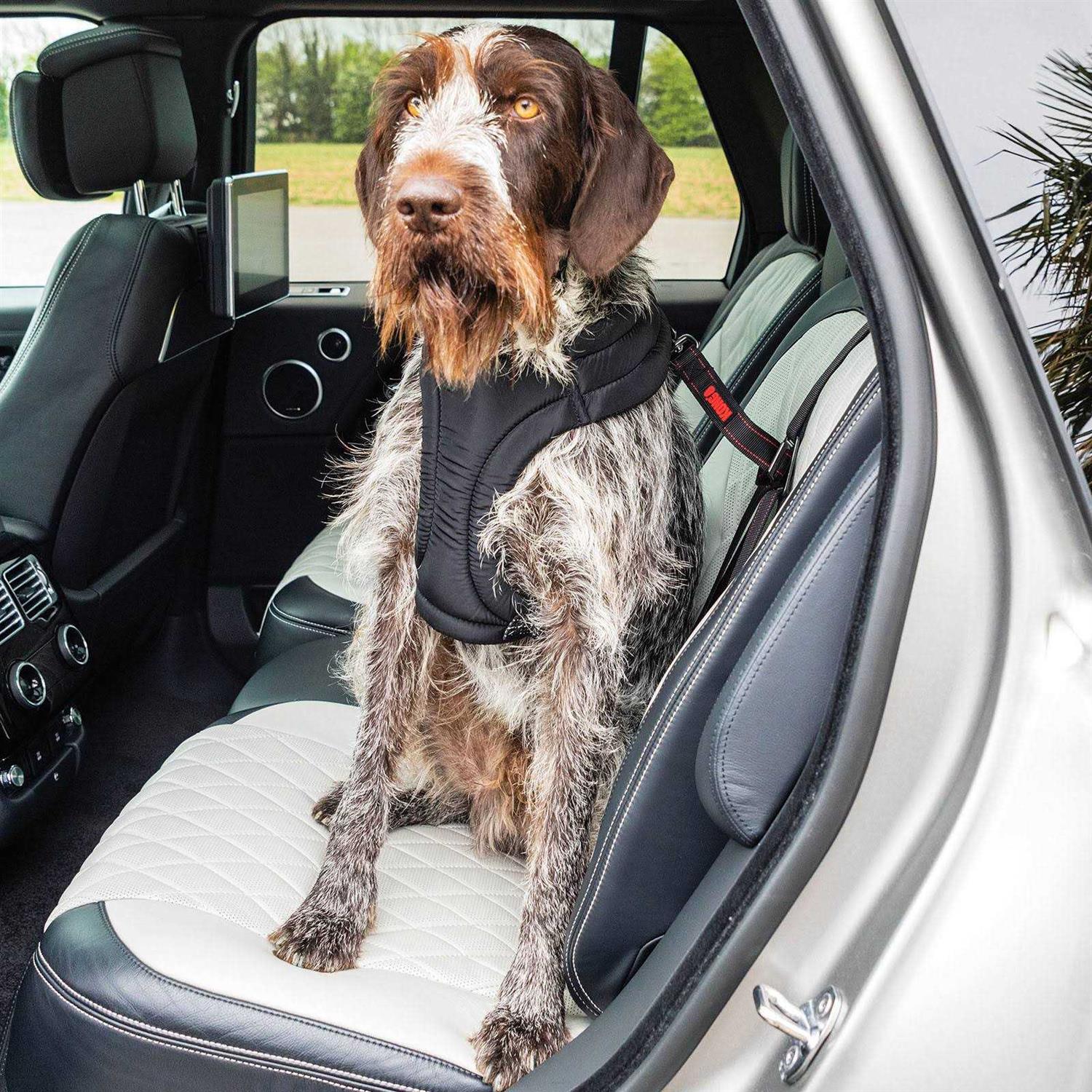 Kong Ultimate Safety Car Seat Tether - Nail Gallerys