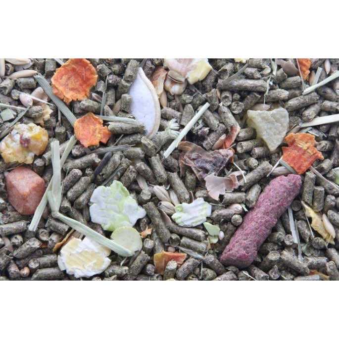 Higgins Sunburst Gourmet Blend Rabbit Food - Nail Gallerys