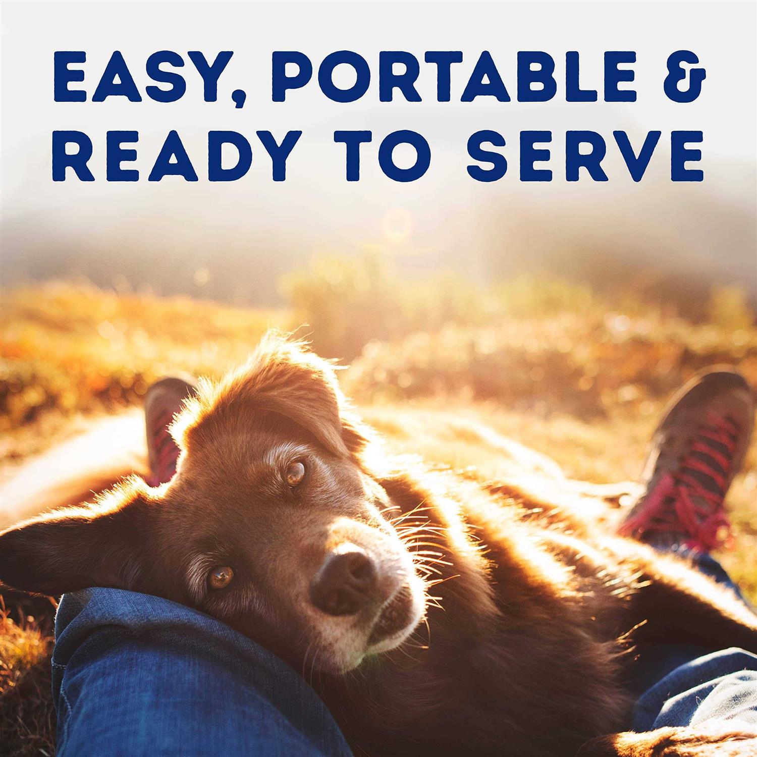 Natural Balance Platefulls Savory Duck & Pumpkin Recipe Wet Dog Food - Nail Gallerys